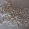 Comprar dexanfetamina 5 mg en línea